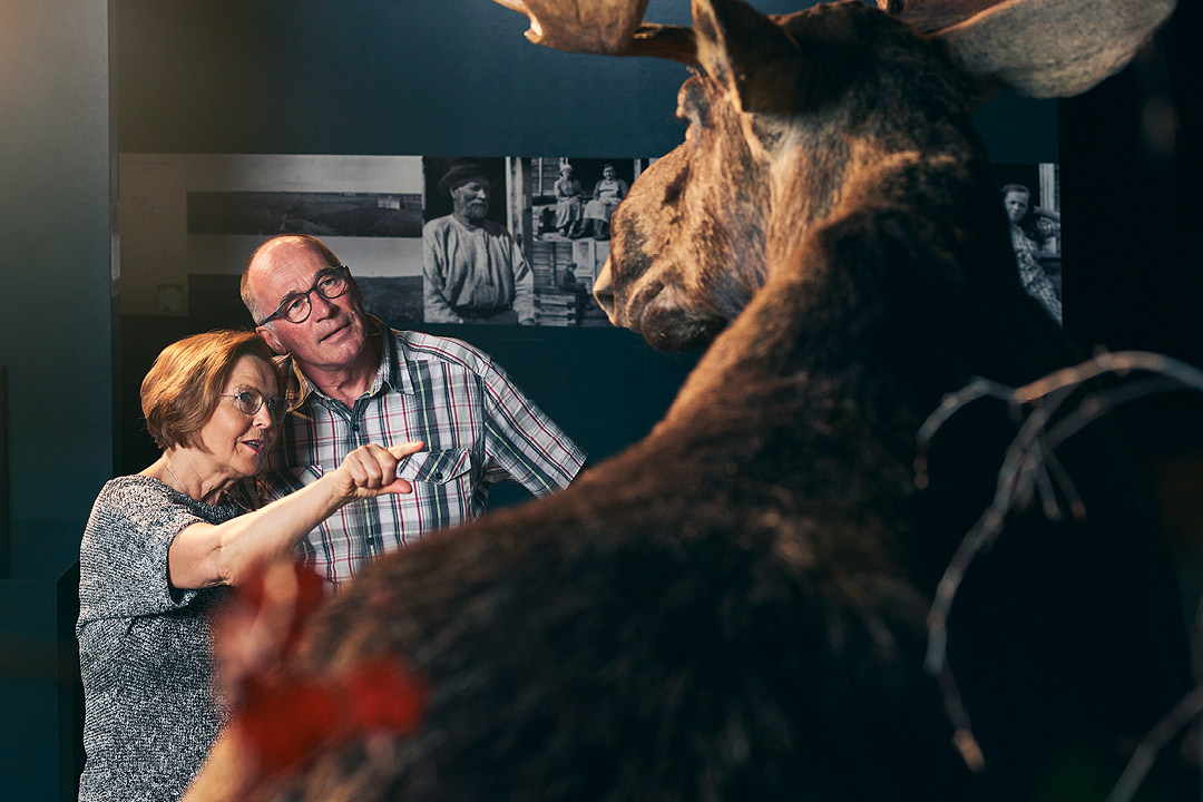 Pariskunta katsomassa täytettyä hirveä.