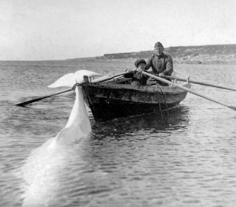 Mustavalkoinen arkistokuva pojasta ja sotilaasta soutamassa