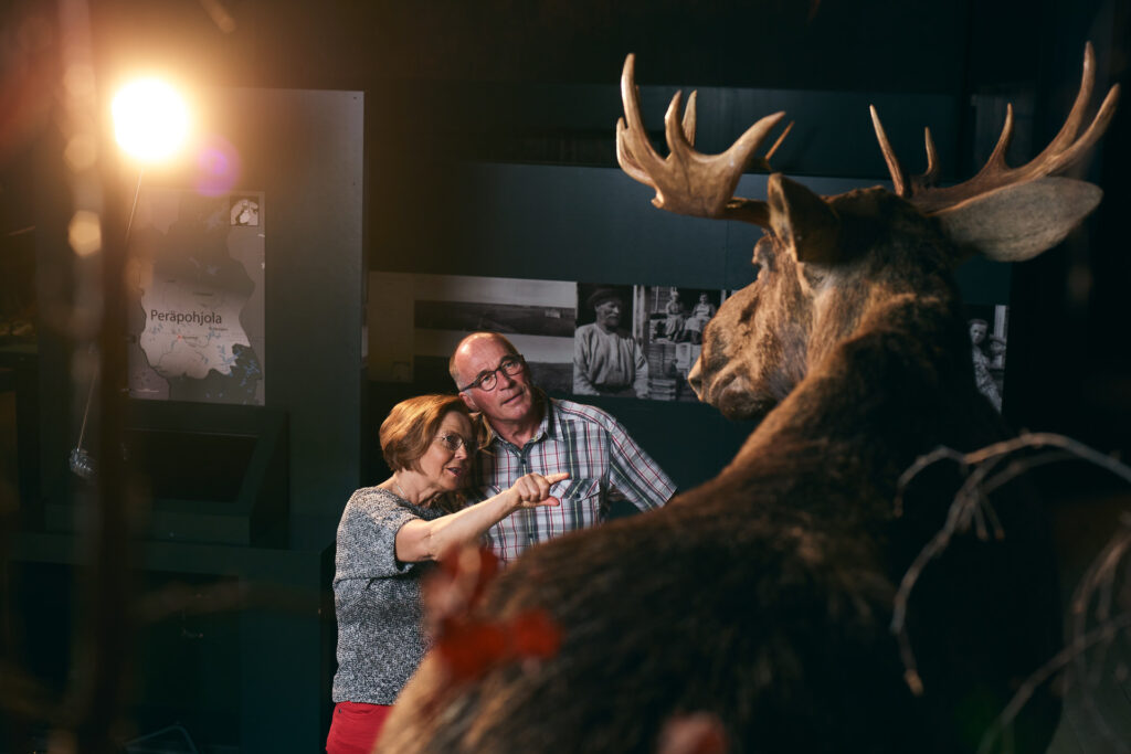 Vanhempi pariskunta katselee täytettyä hirveä näyttelyssä