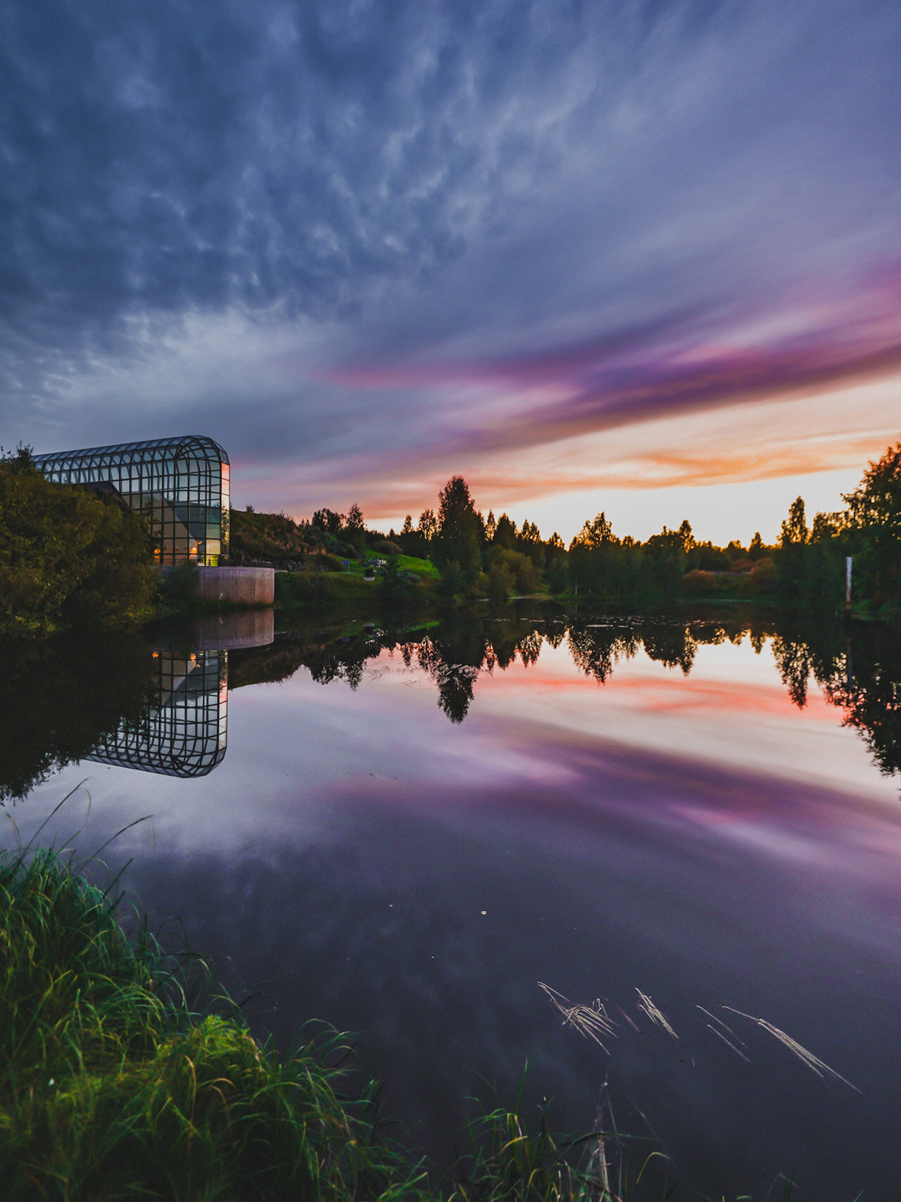 Arktikumin ranta ilta-auringossa.